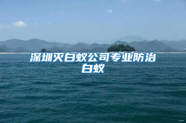 深圳滅白蟻公司專業防治白蟻