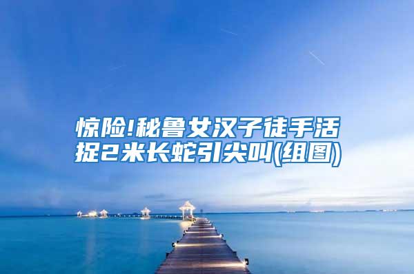 驚險(xiǎn)!秘魯女漢子徒手活捉2米長(zhǎng)蛇引尖叫(組圖)