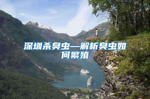 深圳殺臭蟲(chóng)—解析臭蟲(chóng)如何繁殖