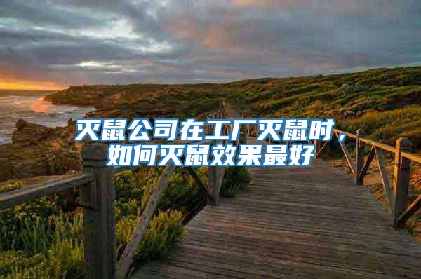 滅鼠公司在工廠滅鼠時，如何滅鼠效果最好