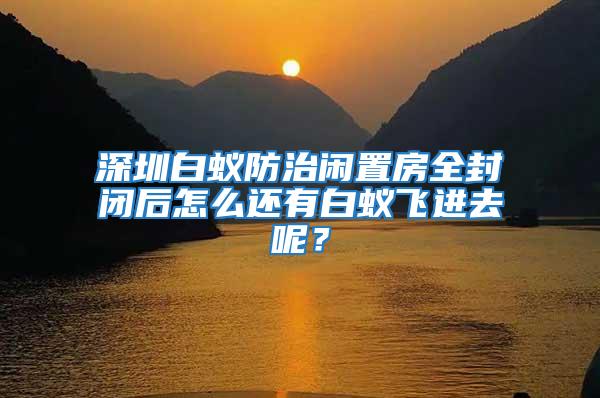 深圳白蟻防治閑置房全封閉后怎么還有白蟻飛進去呢？