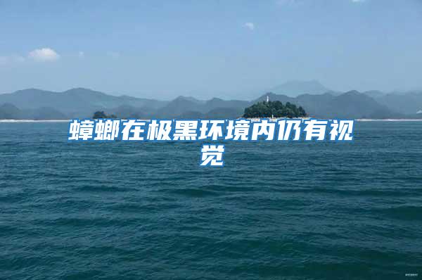 蟑螂在極黑環(huán)境內(nèi)仍有視覺(jué)