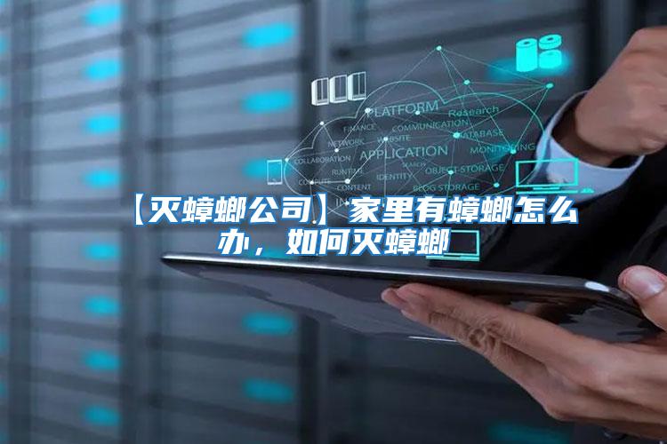 【滅蟑螂公司】家里有蟑螂怎么辦，如何滅蟑螂