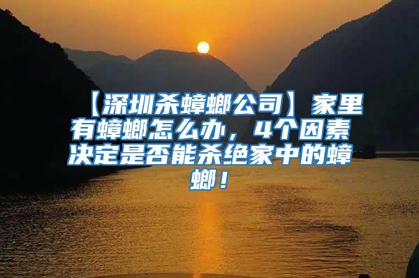 【深圳殺蟑螂公司】家里有蟑螂怎么辦，4個因素決定是否能殺絕家中的蟑螂！