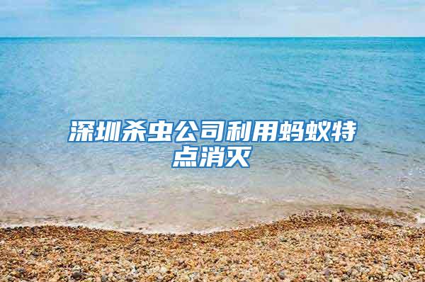深圳殺蟲公司利用螞蟻特點(diǎn)消滅
