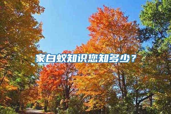 家白蟻知識您知多少？