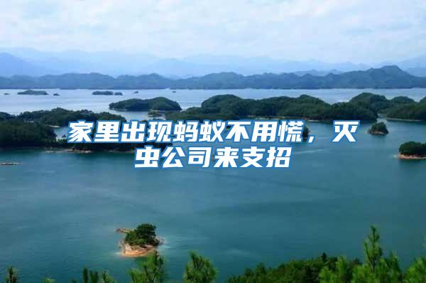 家里出現螞蟻不用慌，滅蟲公司來支招