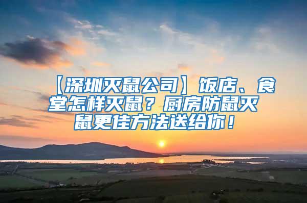 【深圳滅鼠公司】飯店、食堂怎樣滅鼠？廚房防鼠滅鼠更佳方法送給你！