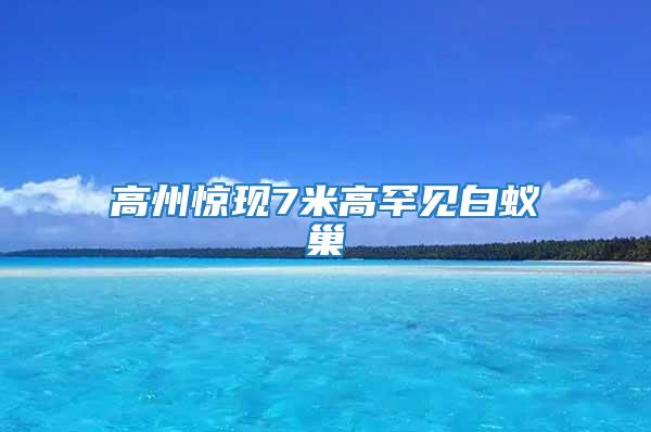 高州驚現(xiàn)7米高罕見白蟻巢