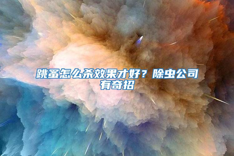 跳蚤怎么殺效果才好？除蟲公司有奇招