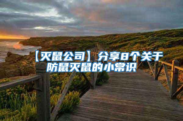 【滅鼠公司】分享8個關于防鼠滅鼠的小常識