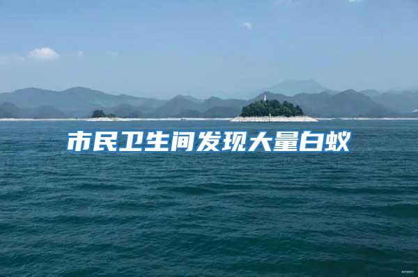 市民衛生間發現大量白蟻