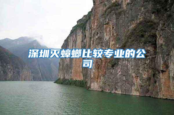 深圳滅蟑螂比較專業的公司