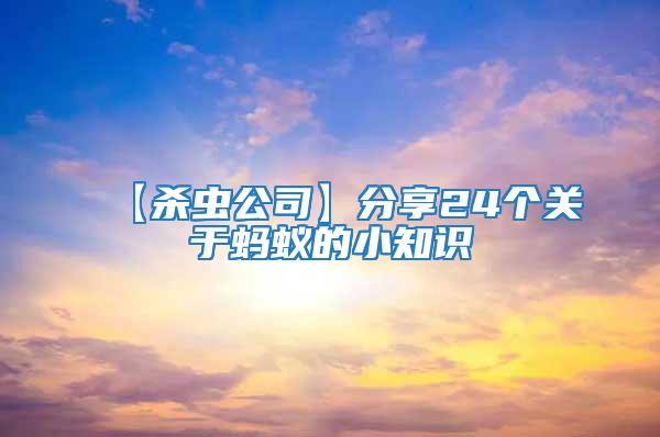 【殺蟲公司】分享24個關于螞蟻的小知識