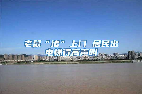 老鼠“堵”上門 居民出電梯得高聲叫