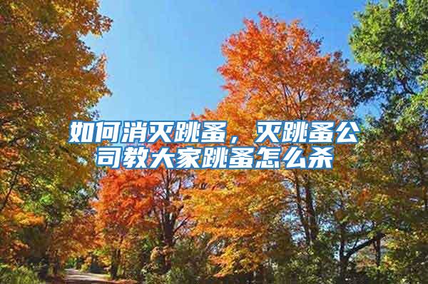 如何消滅跳蚤，滅跳蚤公司教大家跳蚤怎么殺