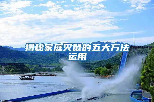 揭秘家庭滅鼠的五大方法運用