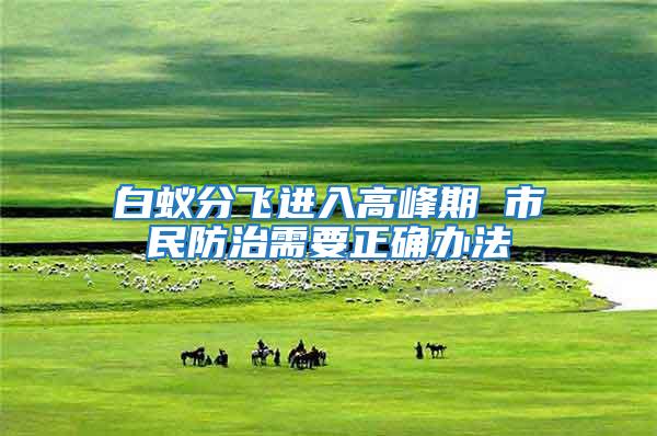 白蟻分飛進入高峰期 市民防治需要正確辦法