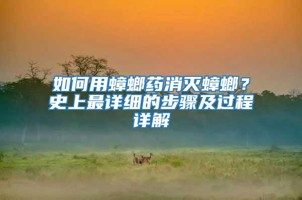 如何用蟑螂藥消滅蟑螂？史上最詳細(xì)的步驟及過程詳解