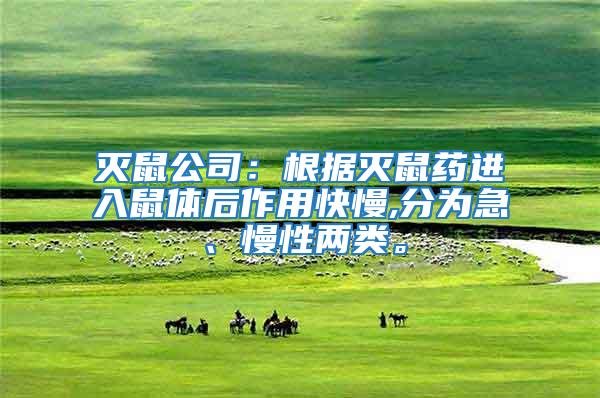 滅鼠公司：根據滅鼠藥進入鼠體后作用快慢,分為急、慢性兩類。