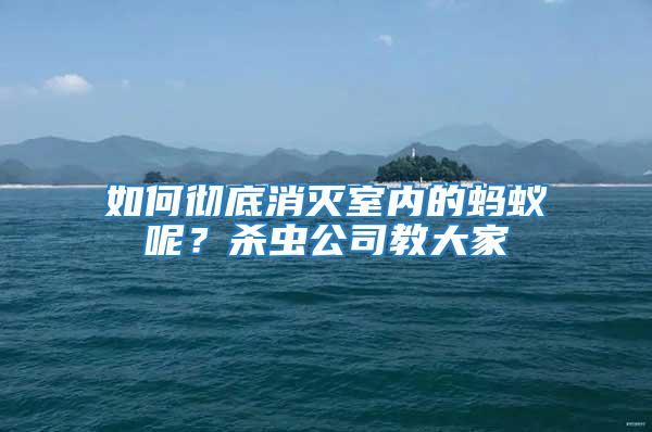 如何徹底消滅室內(nèi)的螞蟻呢？殺蟲公司教大家