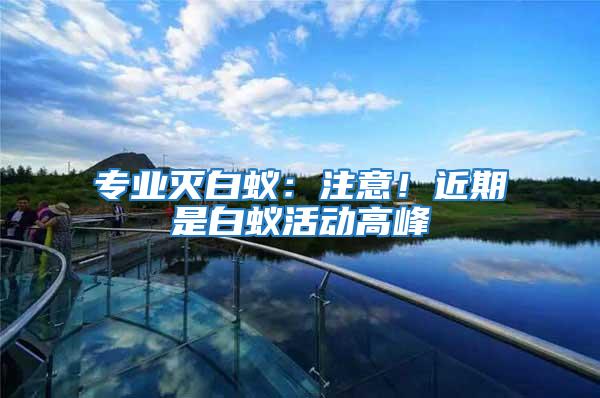 專業(yè)滅白蟻：注意！近期是白蟻活動高峰