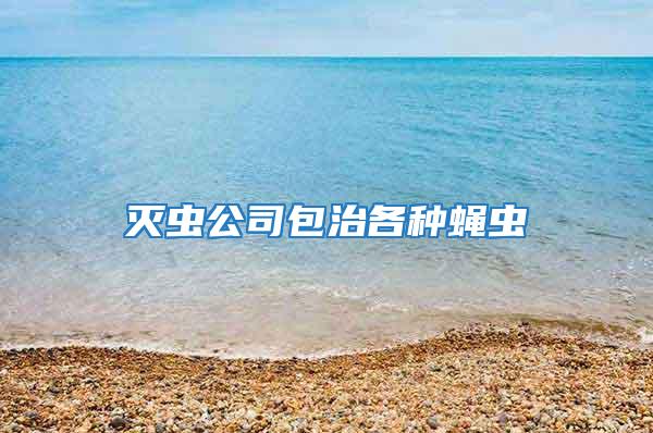 滅蟲(chóng)公司包治各種蠅蟲(chóng)