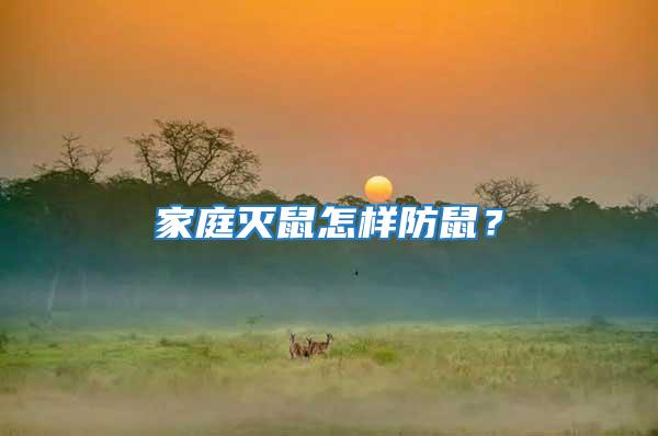 家庭滅鼠怎樣防鼠？