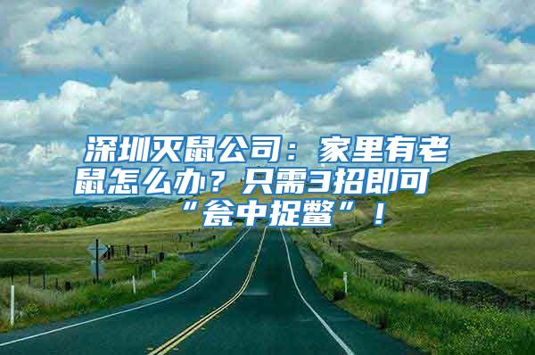 深圳滅鼠公司：家里有老鼠怎么辦？只需3招即可“甕中捉鱉”！