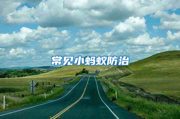 常見小螞蟻防治