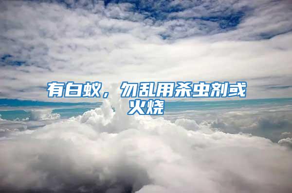 有白蟻，勿亂用殺蟲劑或火燒