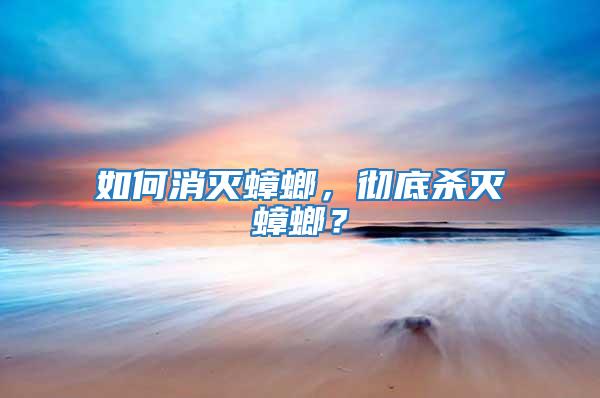 如何消滅蟑螂，徹底殺滅蟑螂？