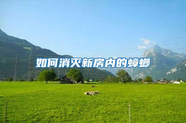 如何消滅新房內的蟑螂