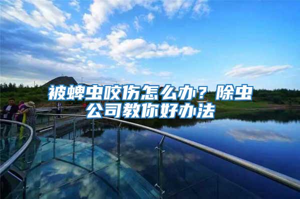 被蜱蟲咬傷怎么辦？除蟲公司教你好辦法