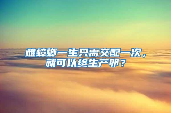 雌蟑螂一生只需交配一次，就可以終生產(chǎn)卵？