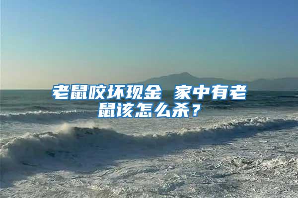 老鼠咬壞現金 家中有老鼠該怎么殺？