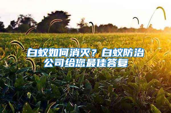 白蟻如何消滅？白蟻防治公司給您最佳答復