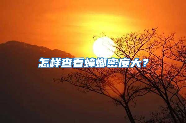 怎樣查看蟑螂密度大？