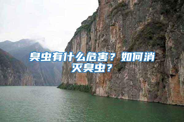 臭蟲有什么危害？如何消滅臭蟲？