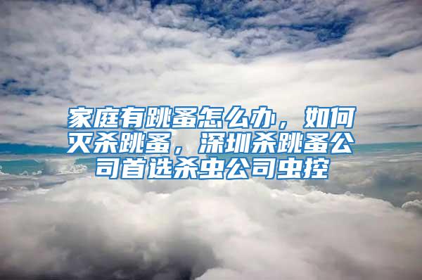 家庭有跳蚤怎么辦，如何滅殺跳蚤，深圳殺跳蚤公司首選殺蟲公司蟲控