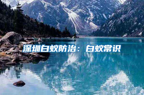 深圳白蟻防治：白蟻常識