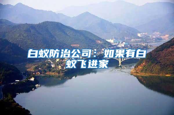 白蟻防治公司：如果有白蟻飛進家