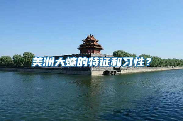美洲大蠊的特征和習性？
