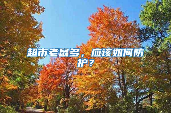 超市老鼠多，應該如何防護？