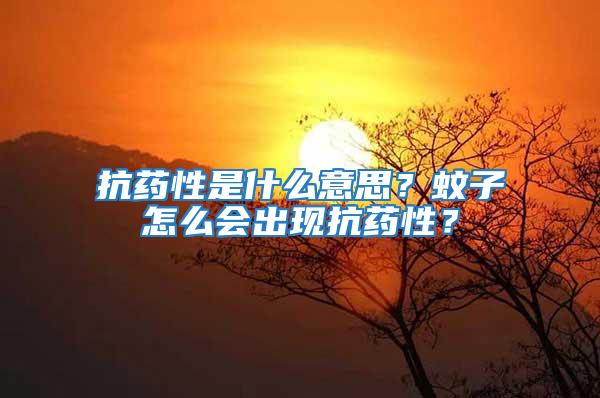 抗藥性是什么意思？蚊子怎么會出現抗藥性？