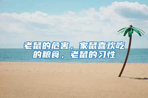 老鼠的危害，家鼠喜歡吃的糧食，老鼠的習性