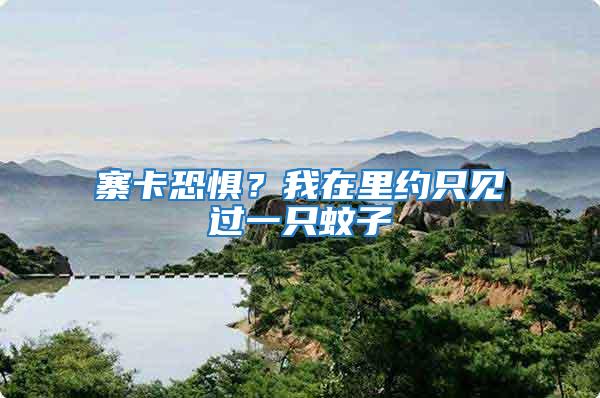 寨卡恐懼？我在里約只見過一只蚊子