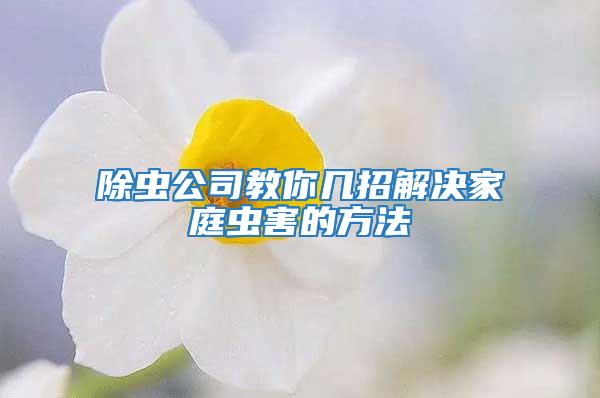 除蟲(chóng)公司教你幾招解決家庭蟲(chóng)害的方法