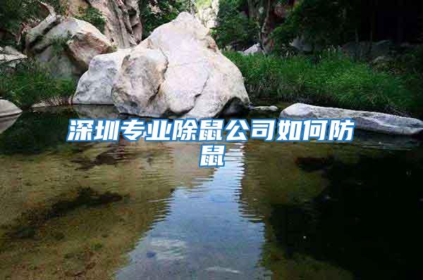 深圳專業除鼠公司如何防鼠