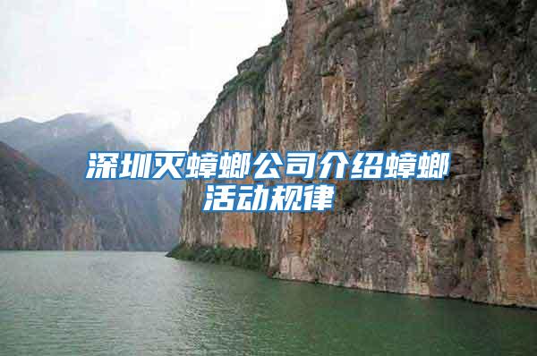 深圳滅蟑螂公司介紹蟑螂活動規(guī)律
